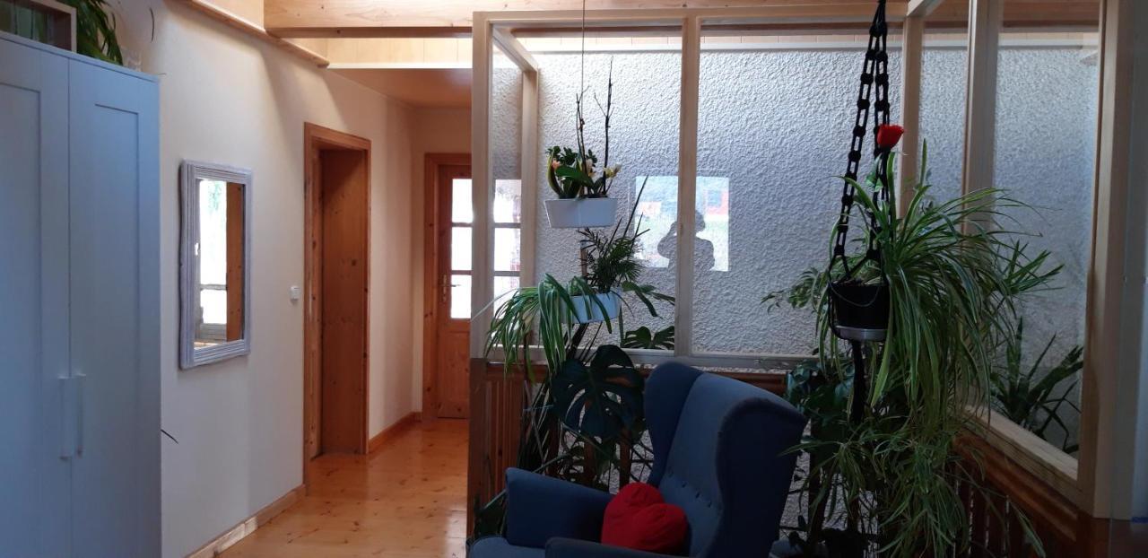 Ferienwohnung Am Fuss Des Bayerischen Waldes Вьорт ан дер Донау Екстериор снимка